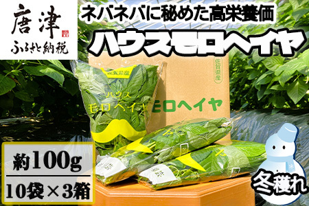 『先行予約』【12月上旬より順次発送】冬穫れハウスモロヘイヤ 100g×10袋×3箱 ネバネバ 高栄養価（βカロテン/各種ビタミン/カルシウム/カリウム/葉酸など)