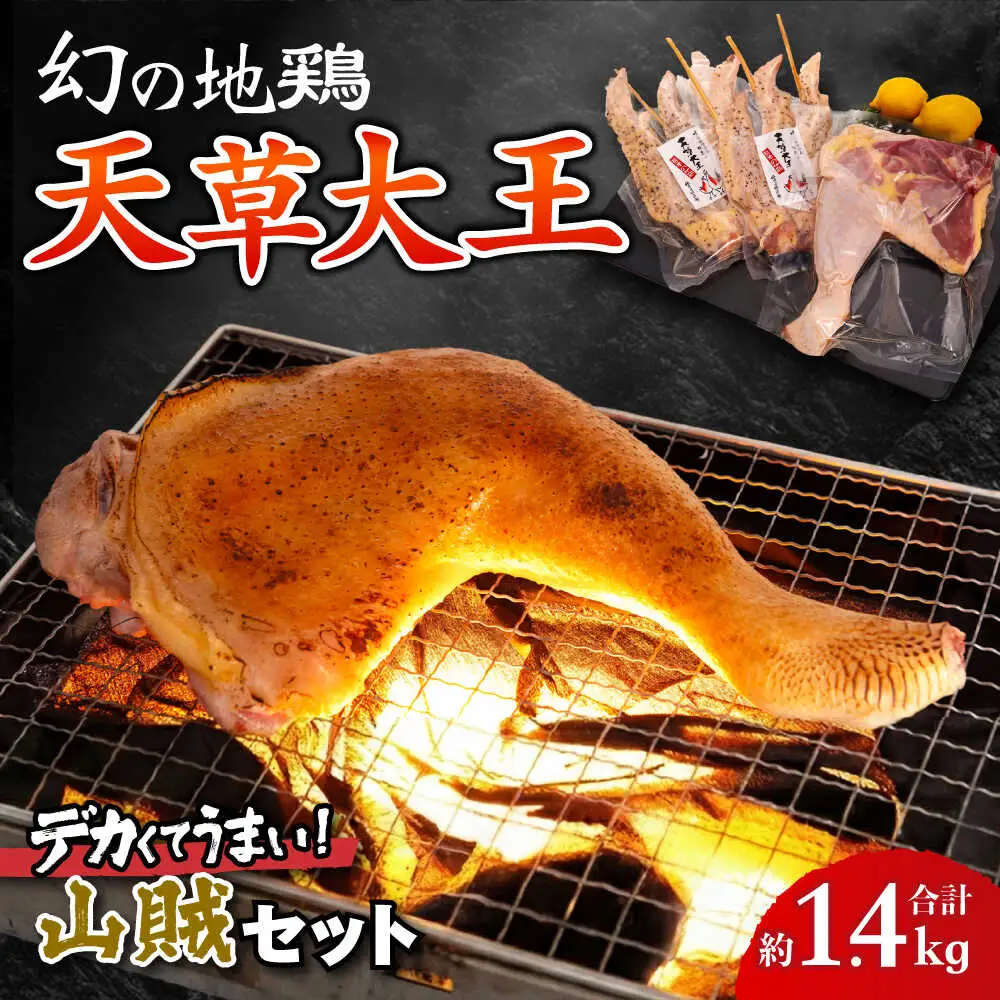 天草大王【山賊セット】幻の鶏 キャンプ BBQ 骨付き もも肉 約800g!! 大手羽先 3本×2セット 鶏肉[AYAN035]