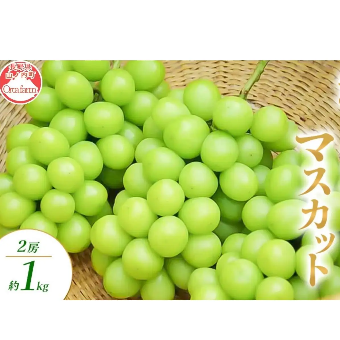 シャインマスカット 1～2房 1kg ぶどう シャインマスカット