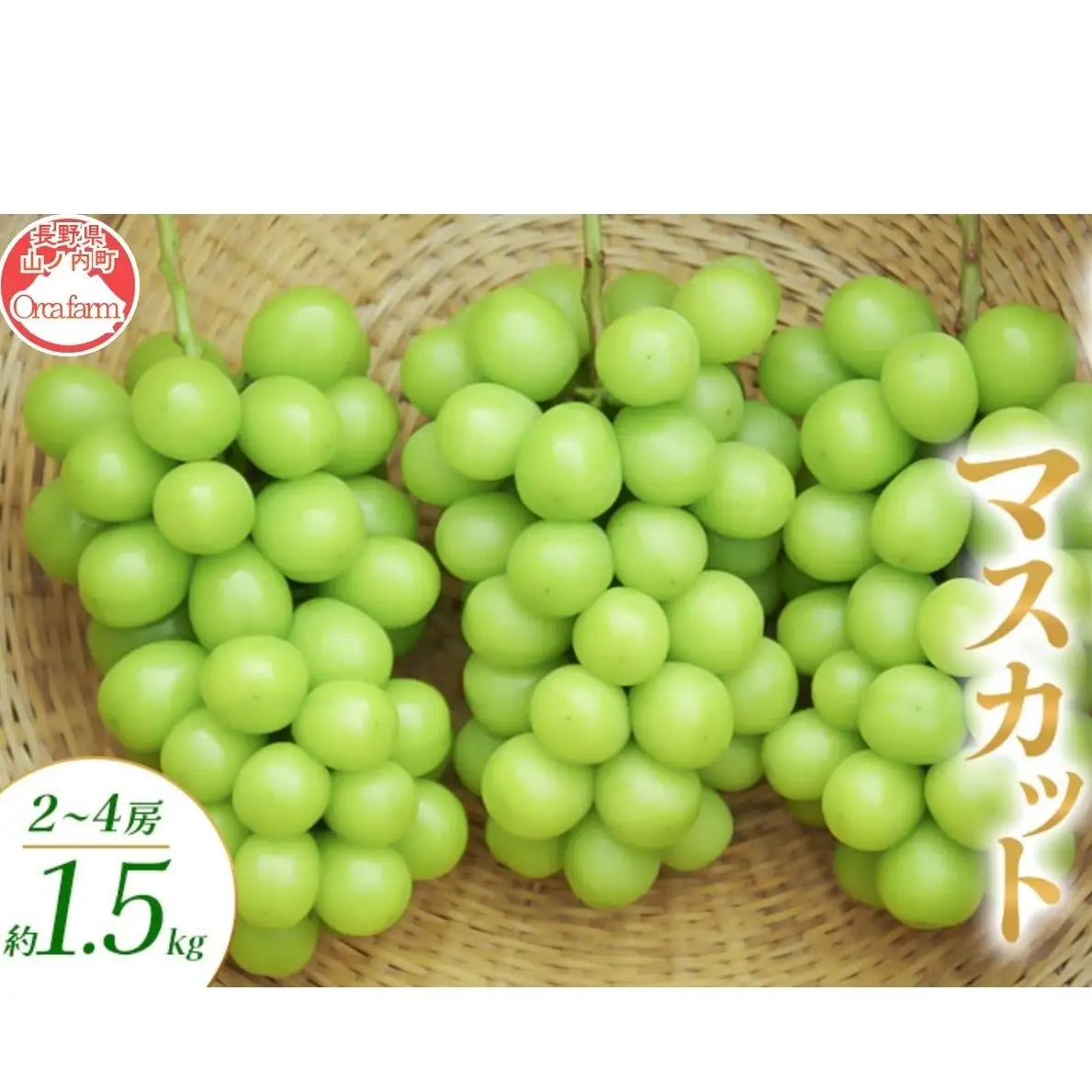 シャインマスカット 2～4房 1.5kg ぶどう シャインマスカット