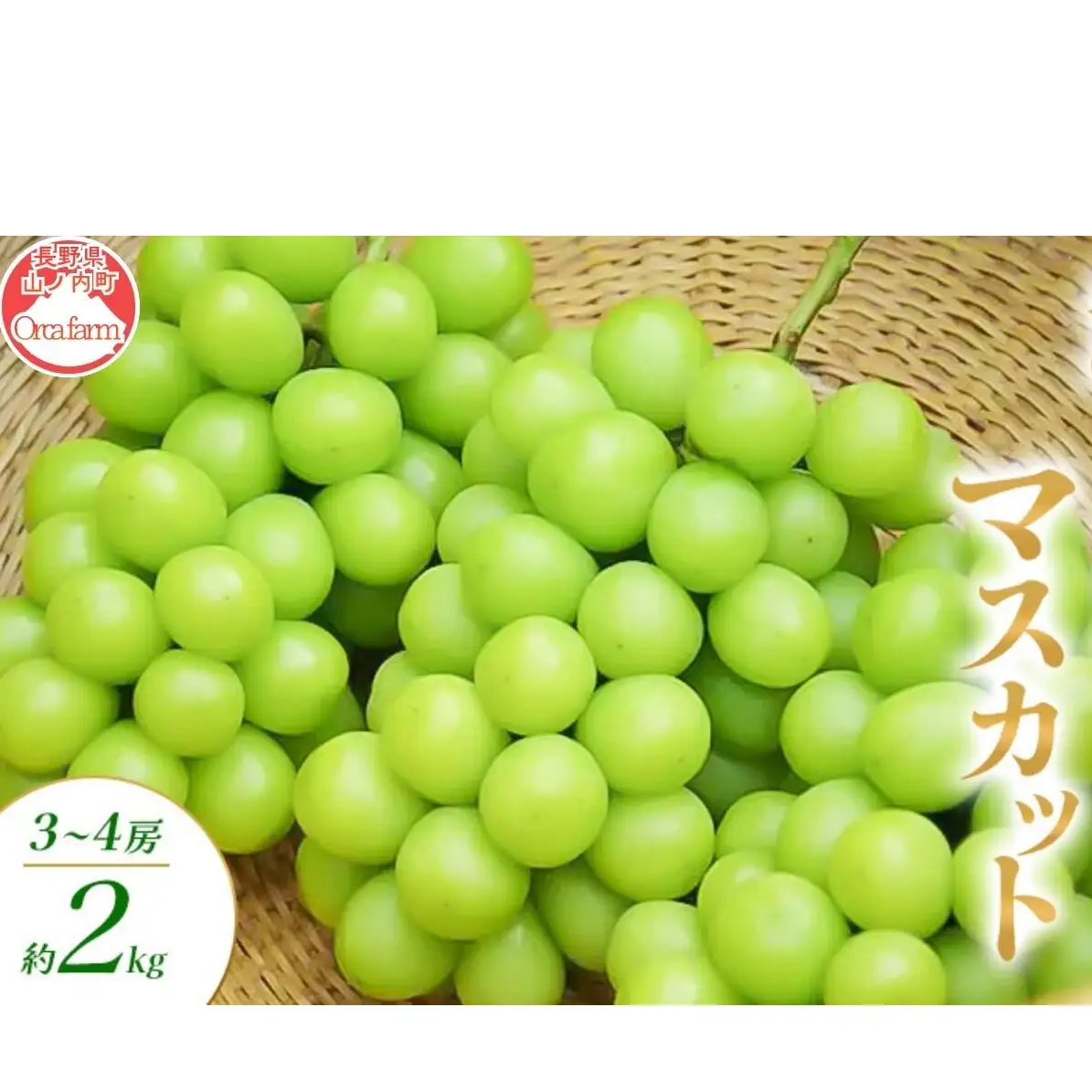 シャインマスカット 2～4房 2kg ぶどう シャインマスカット