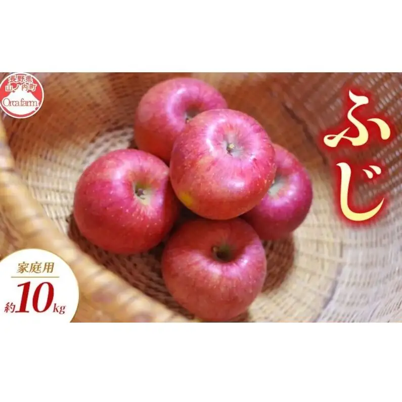 サンふじ 家庭用 10kg りんご リンゴ 林檎 サンふじ