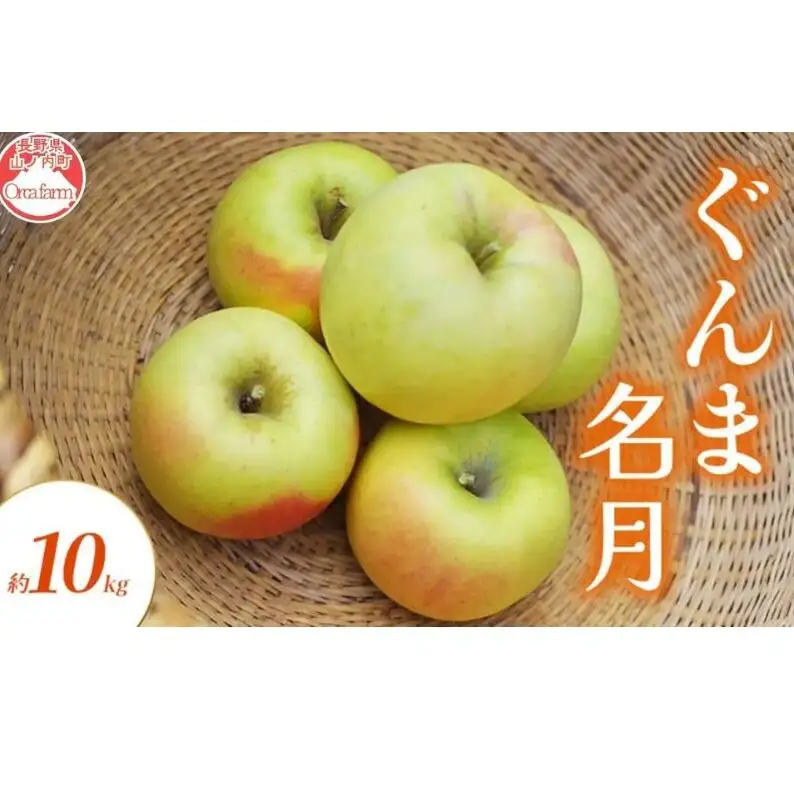 りんご ぐんま名月 10kg りんご