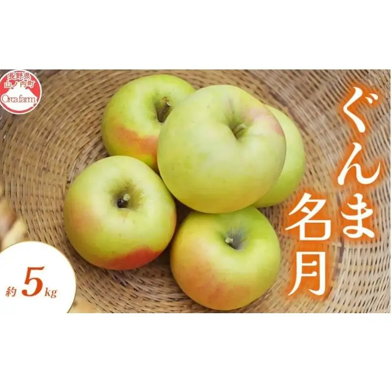 りんご ぐんま名月 5kg りんご