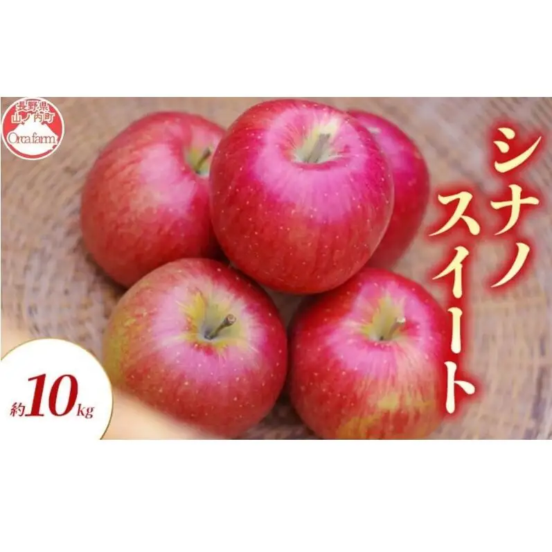 りんご シナノスイート 10kg りんご