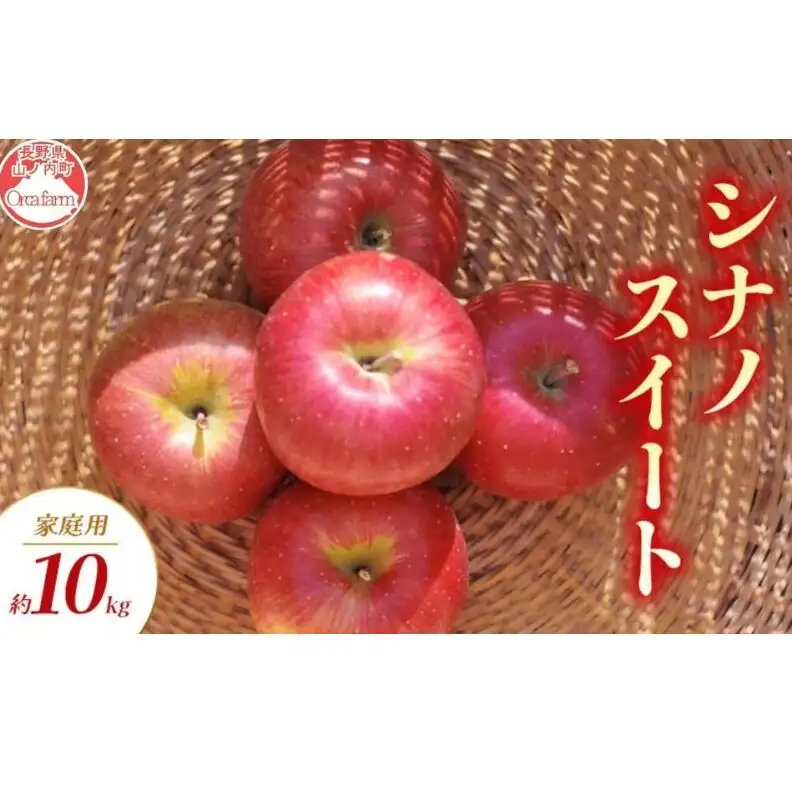 りんご シナノスイート 家庭用 10kg りんご