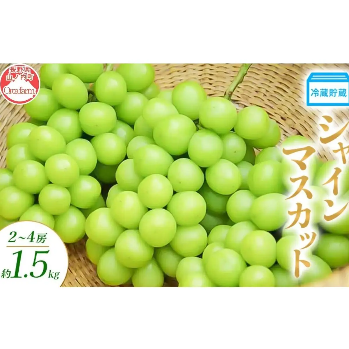 ぶどう 冷蔵貯蔵 シャインマスカット 2～4房 1.5kg ぶどう