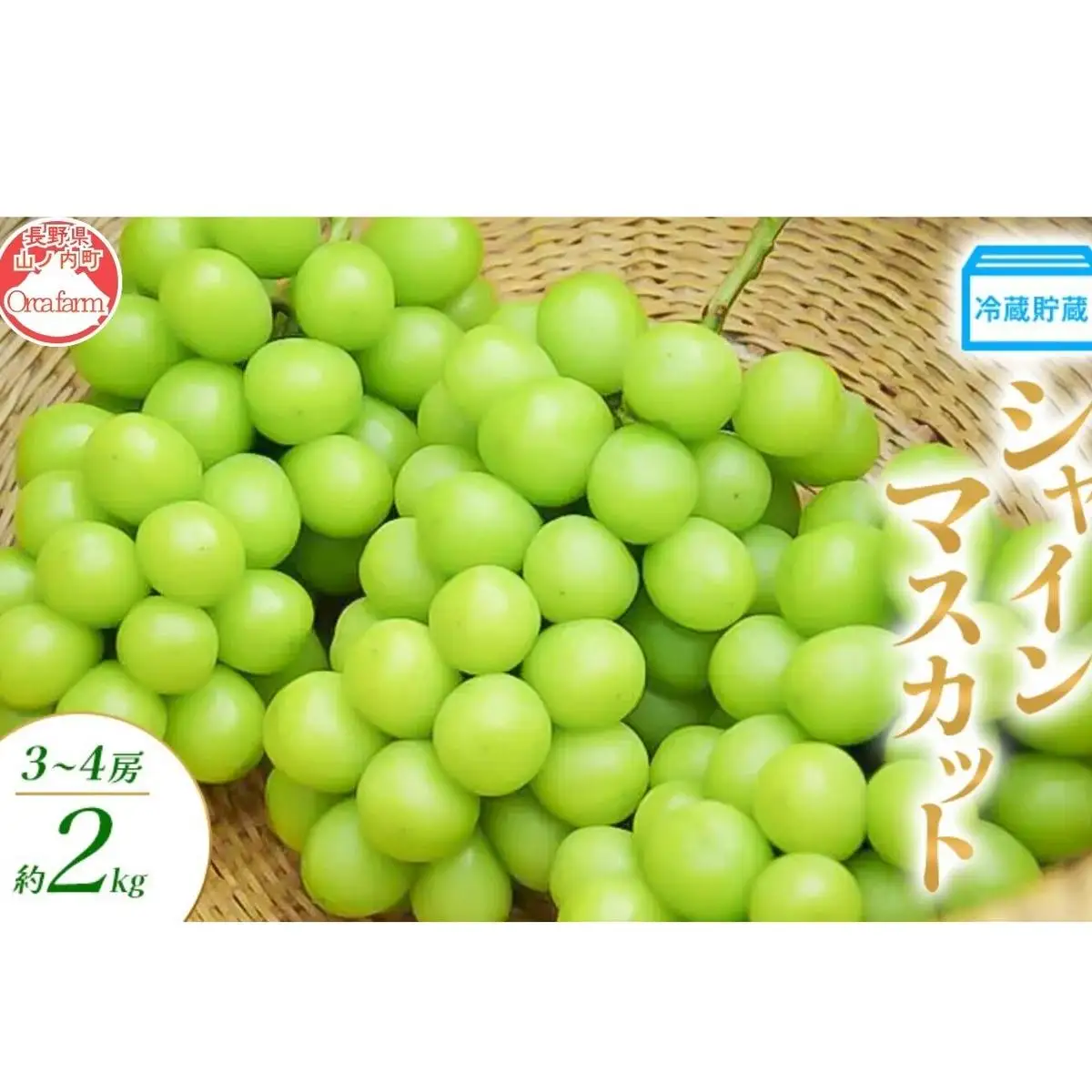 ぶどう 冷蔵貯蔵 シャインマスカット 3～4房 2kg ぶどう