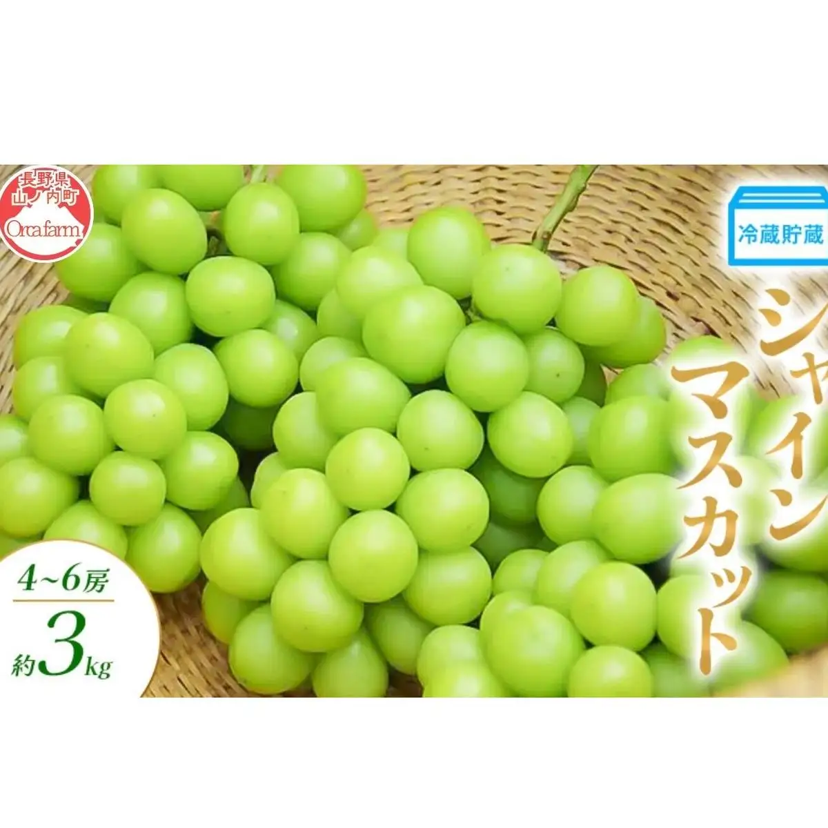ぶどう 冷蔵貯蔵 シャインマスカット 4～6房 3kg ぶどう