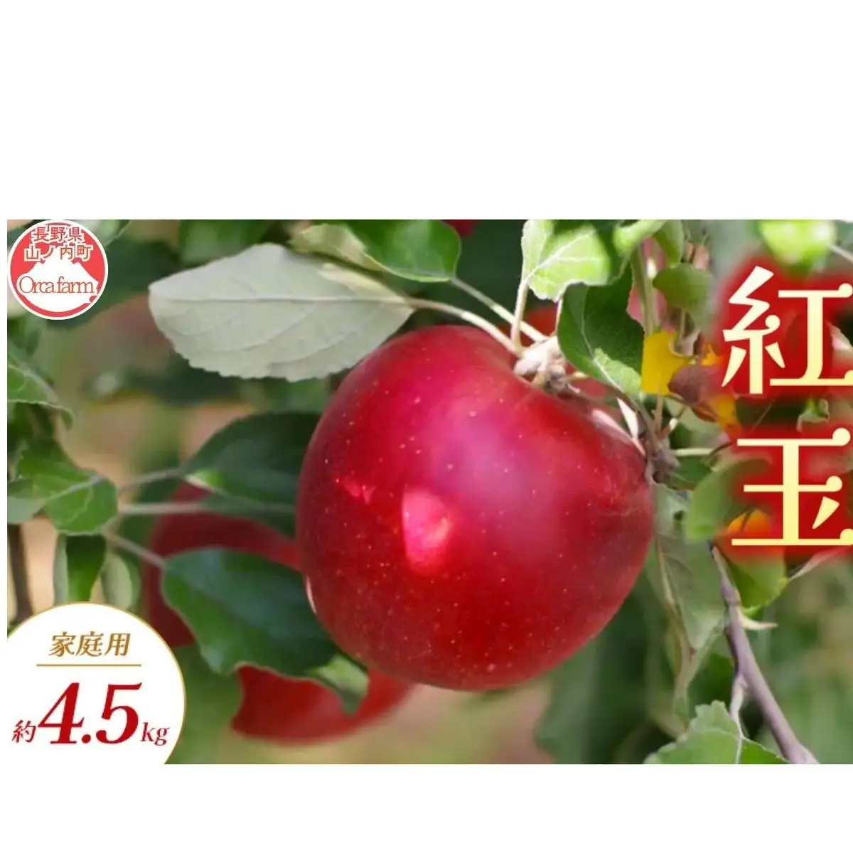 りんご 紅玉 家庭用 4.5kg りんご
