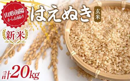 【令和8年産 新米 先行予約】 はえぬき (玄米) 20kg (10kg×2袋) 《令和8年9月下旬～発送》 『マルタニ農園』 山形南陽産 米 ご飯 農家直送 山形県 南陽市 [2391-R8]