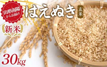 【令和8年産 新米 先行予約】 はえぬき (玄米) 30kg 《令和8年9月下旬～発送》 『マルタニ農園』 山形南陽産 米 ご飯 農家直送 山形県 南陽市 [2392-R8]