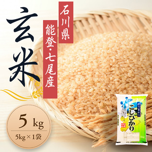 【発送時期が選べる】令和7年産 石川県能登産 こしひかり 玄米5kg （5kg×1個） | 米 ※2026年6月～発送