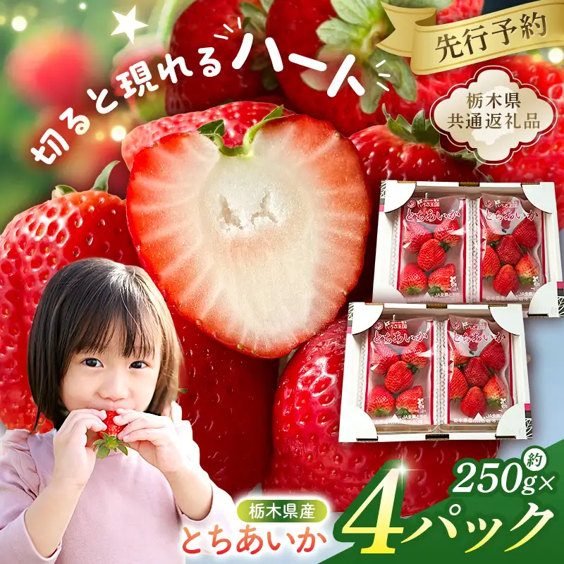【先行受付】栃木県産　とちあいか約250ｇ×4パック【栃木県共通返礼品】【2027年1月下旬～発送予定】　ns120-001 いちご とちあいか 