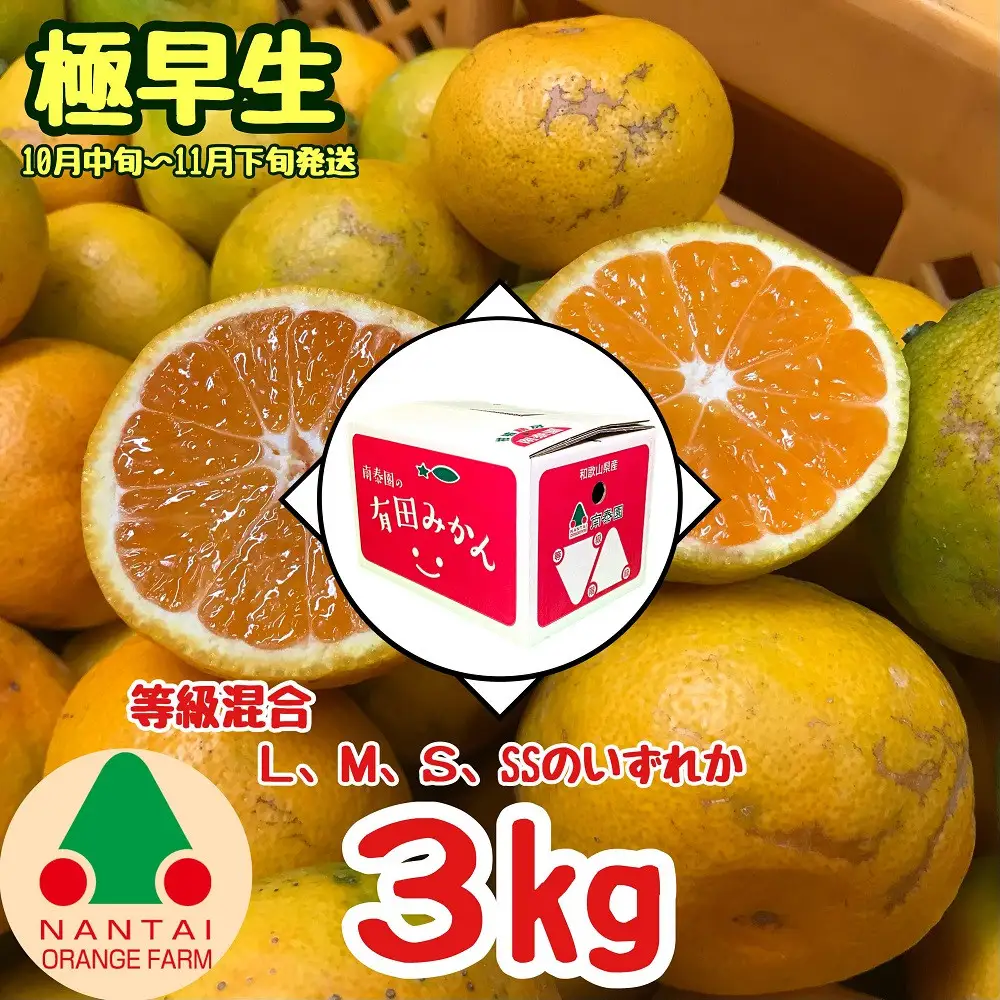 等級混合 極早生 有田 みかん L ～ SS サイズ 3kg 南泰園 和歌山 有田みかん