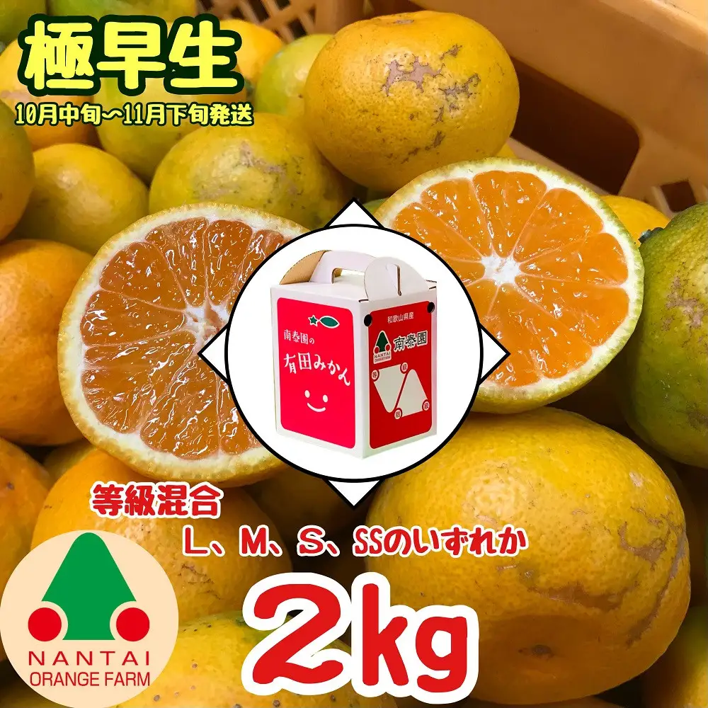 等級混合 極早生 有田 みかん L ～ SS サイズ 2kg 南泰園 和歌山 有田みかん
