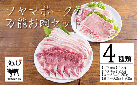 ソヤマポークの万能お肉セットTF0831-P00078