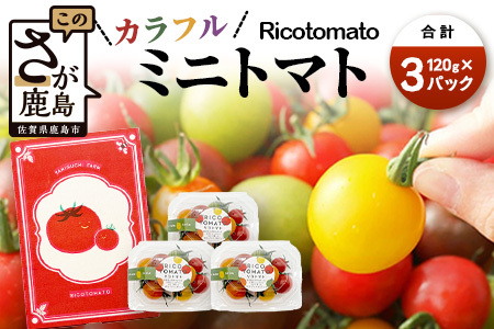 【先行受付】2027年1月より順次発送予定 【少量パック】カラフルミニトマト6種 360g（120g×3）トマト プチトマト 野菜 農家直送 ギフト 人気　たにぐちファーム Ricotomato（リコトマト）～とりこになるトマト～　A-211