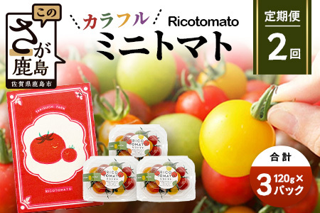 【2回定期便】【先行受付】2027年1月より順次発送｜【少量パック】カラフルミニトマト6種 360g（120g×3）｜トマト プチトマト 野菜 農家直送 ギフト 人気｜佐賀県鹿島市 たにぐちファーム C-147