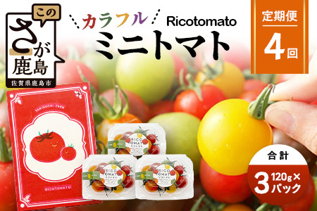 【4回定期便】【先行受付】2027年1月より順次発送｜【少量パック】カラフルミニトマト6種 360g（120g×3）｜トマト プチトマト 野菜 農家直送 ギフト 人気｜佐賀県鹿島市 たにぐちファーム E-159