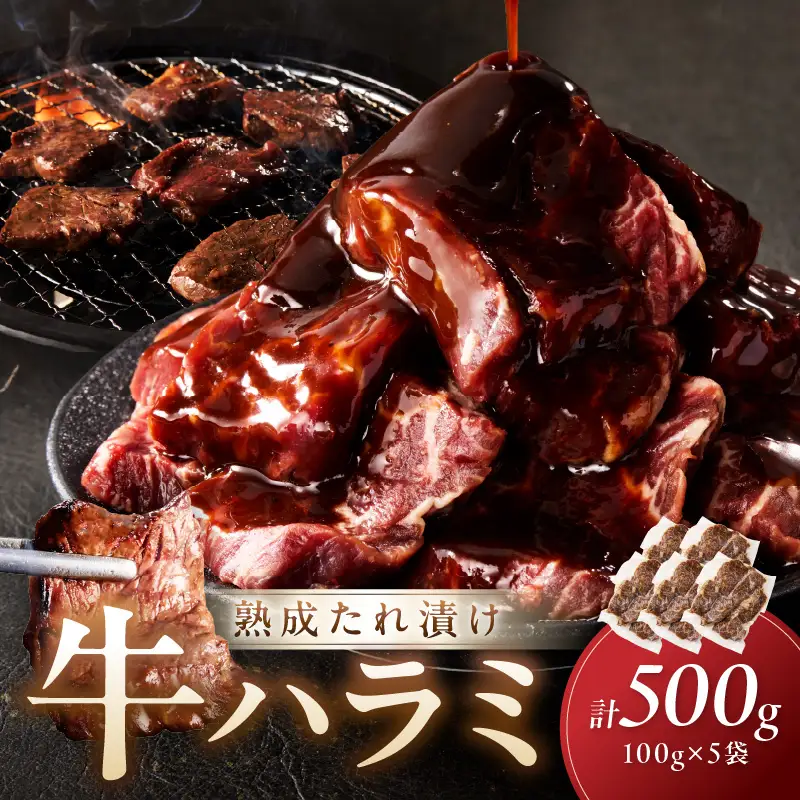 たれ漬けハラミ 1パック100ｇ×5袋