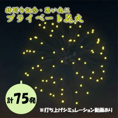 【特別な記念・思い出に】プライベート花火（７５発） 花火 はなび 記念 思い出 プライベート アニバーサリー 誕生日 記念日 結婚 プロポーズ
