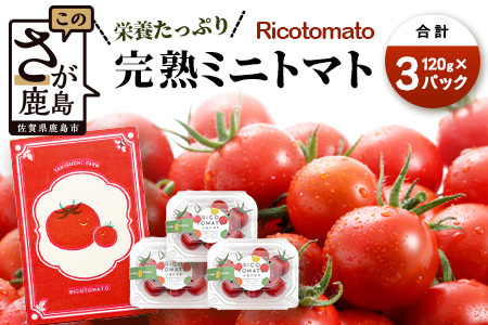 先行受付】2027年1月より順次発送予定|【少量パック】完熟ミニトマト6種 360g（120g×3）プチトマト 野菜 農家直送 佐賀県鹿島市 たにぐちファーム Ricotomato（リコトマト）～とりこになるトマト～　A-212
