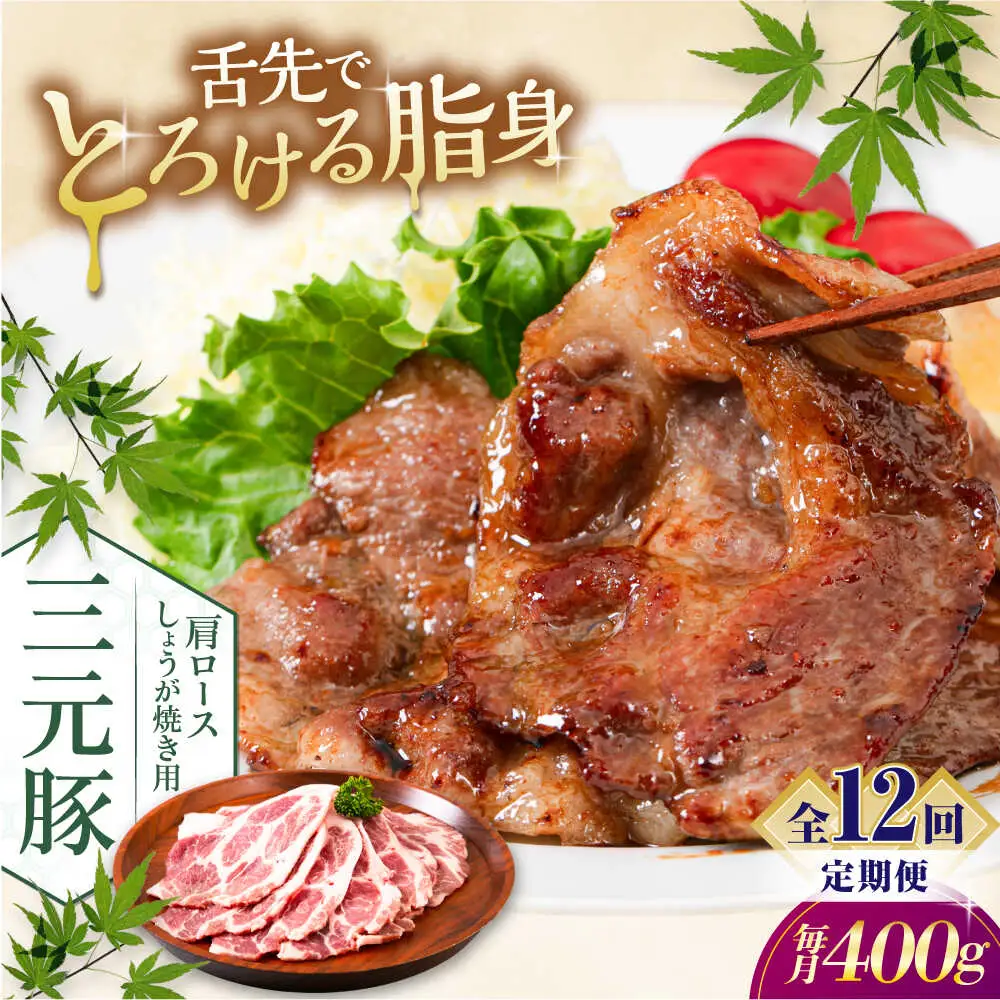 【全12回定期便】平田牧場 肩ロース しょうが焼き用 400g (200g×2P) 豚肉 スライス [AJAP138]
