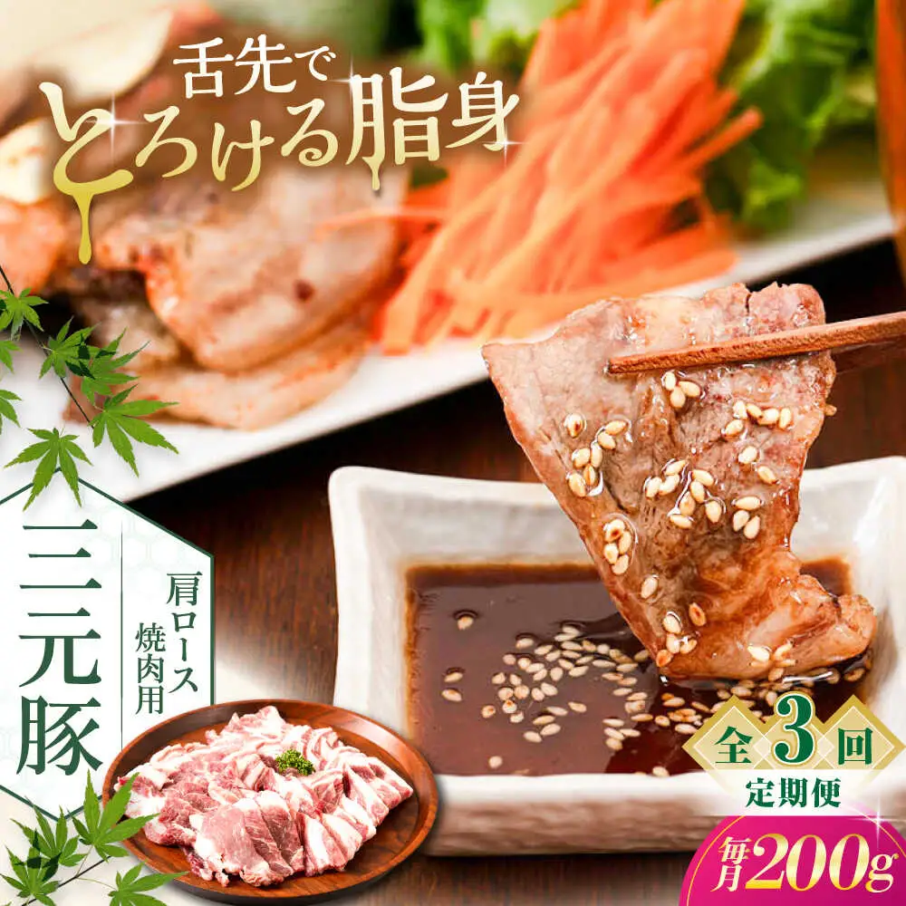 【全3回定期便】平田牧場 肩ロース 焼肉用 200g 豚肉 ロース スライス [AJAP144]