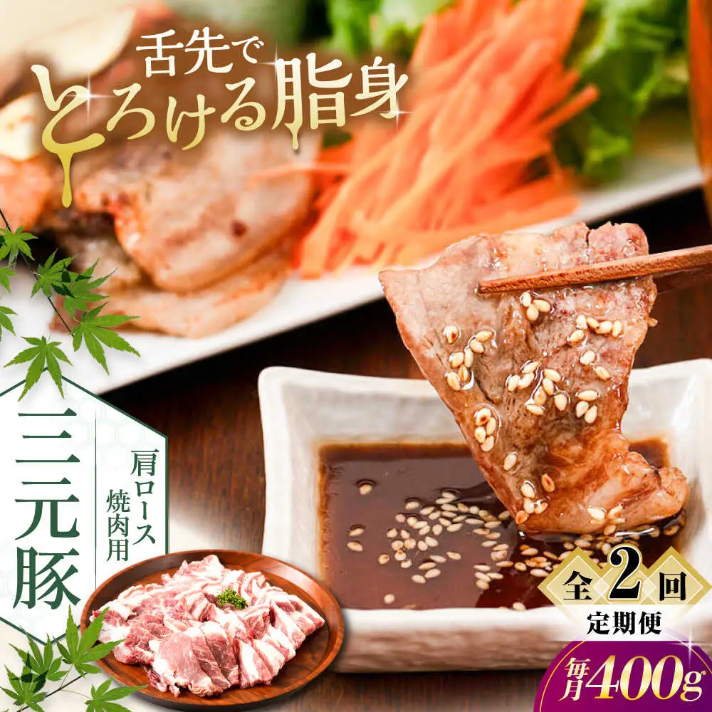【全2回定期便】平田牧場 肩ロース 焼肉用 400g (200g×2P) 豚肉 ロース スライス [AJAP147]