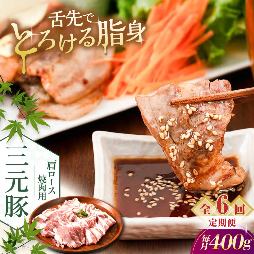 【全6回定期便】平田牧場 肩ロース 焼肉用 400g (200g×2P) 豚肉 ロース スライス [AJAP149]