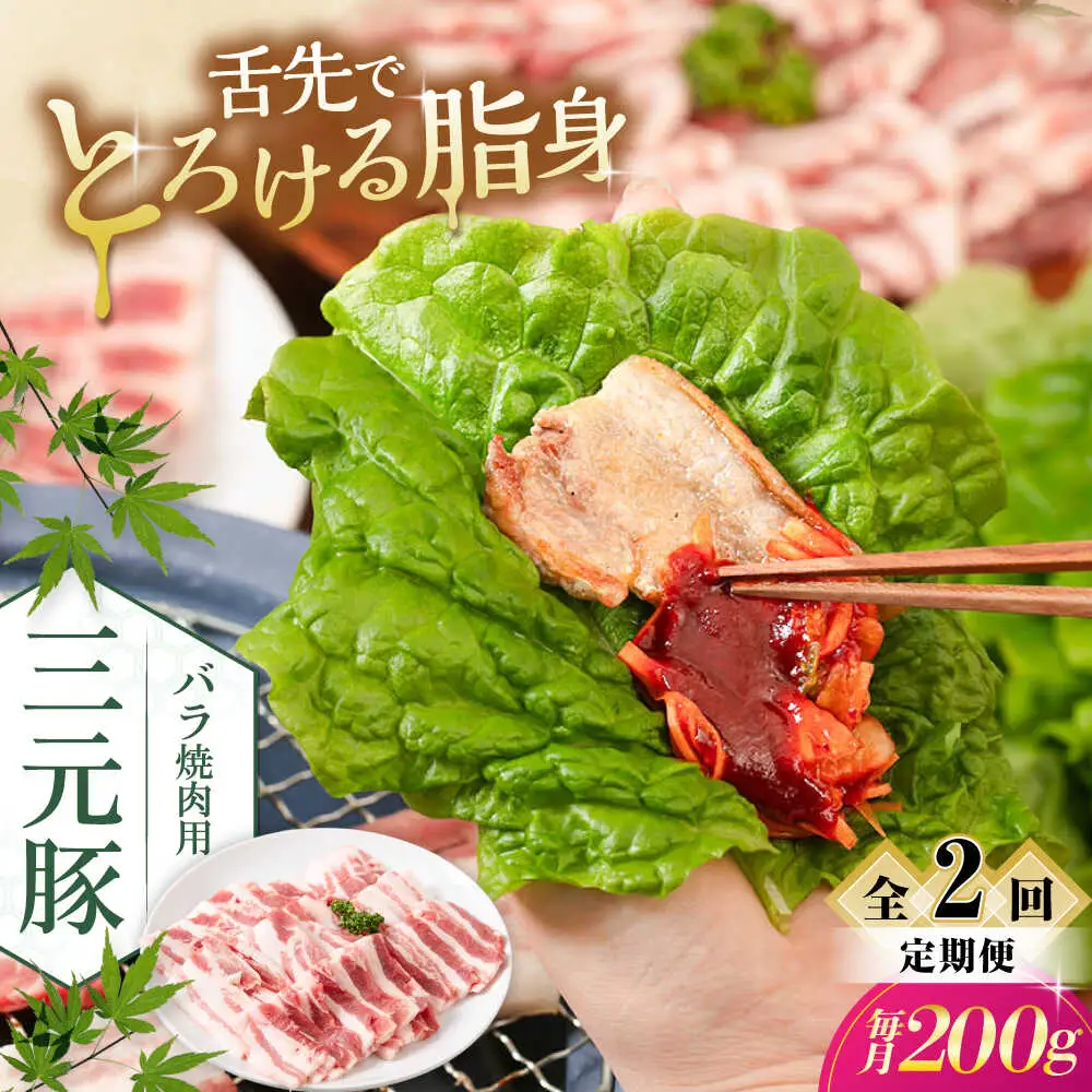 【全2回定期便】平田牧場 バラ 焼肉用 200g 豚肉 カルビ スライス [AJAP151]