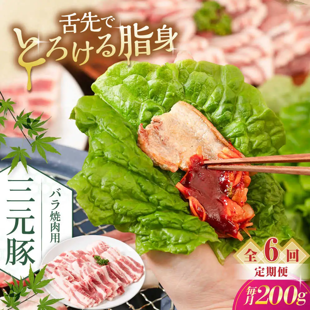 【全6回定期便】平田牧場 バラ 焼肉用 200g 豚肉 カルビ スライス [AJAP153]