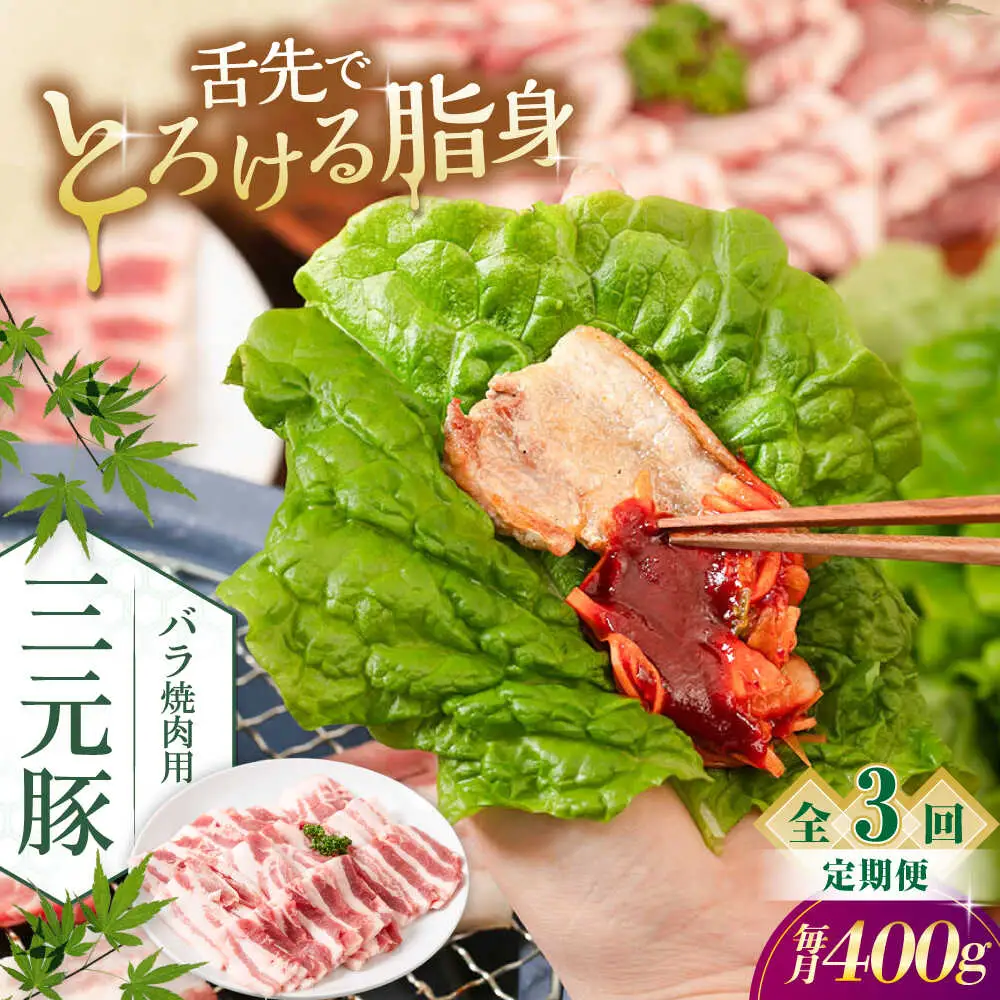 【全3回定期便】平田牧場 バラ 焼肉用 400g (200g×2P) 豚肉 カルビ スライス [AJAP156]