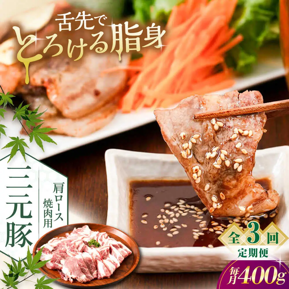 【全3回定期便】平田牧場 肩ロース 焼肉用 400g (200g×2P) 豚肉 ロース スライス [AJAP148]