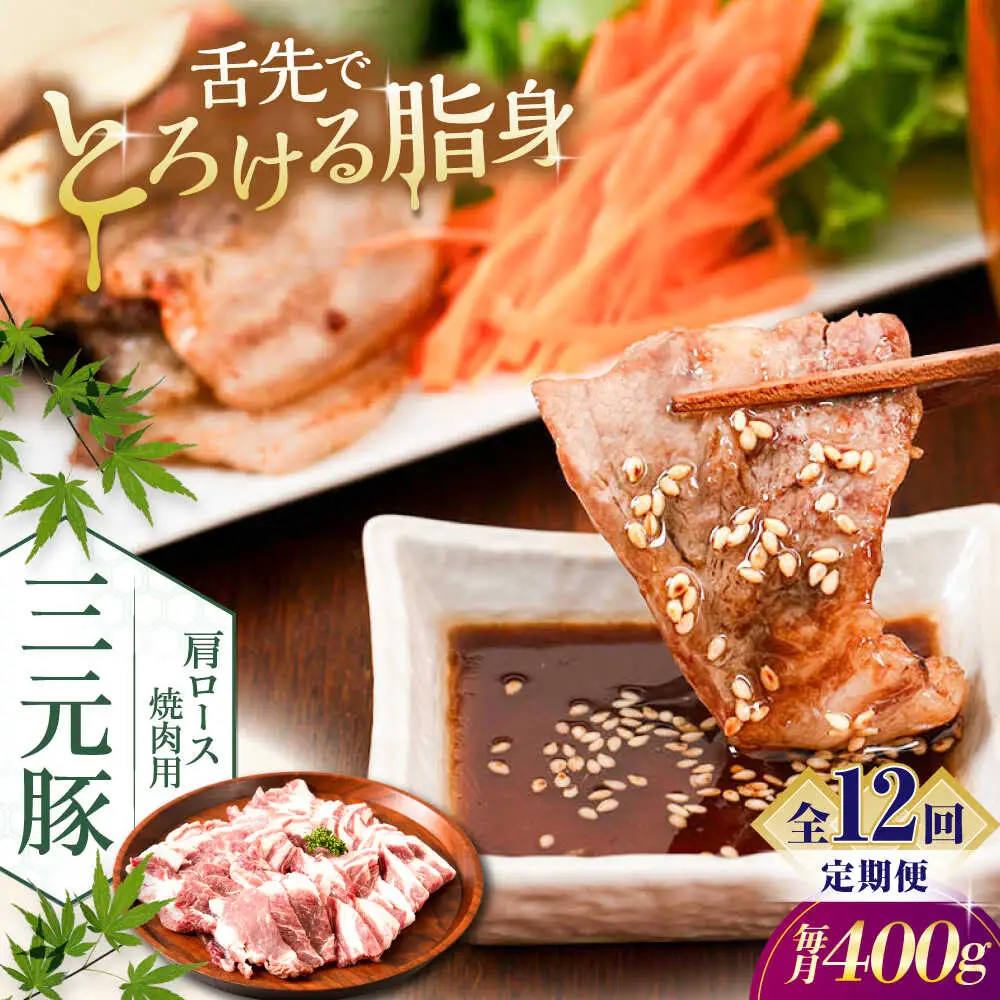 【全12回定期便】平田牧場 肩ロース 焼肉用 400g (200g×2P) 豚肉 ロース スライス [AJAP150]