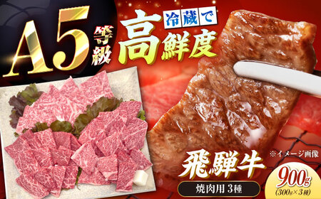 飛騨牛 A5 焼肉用3種盛り！ ロース・もも・バラ 各300g / 恵那市 / 東美濃農業協同組合 [AUFX023]