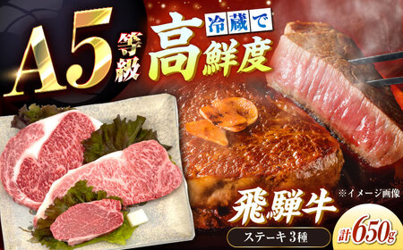 飛騨牛 A5 ステーキ3種盛り！ ヒレ・サーロイン・リブロース / 恵那市 / 東美濃農業協同組合 [AUFX024]