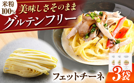パスタ 【グルテンフリー】米粉フェットチーネ [ANGM006] パスタ