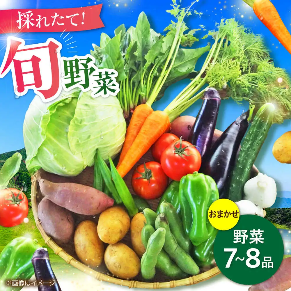 旬の 野菜 セット 約3kg/ 野菜 7-8品程度 BHAK023