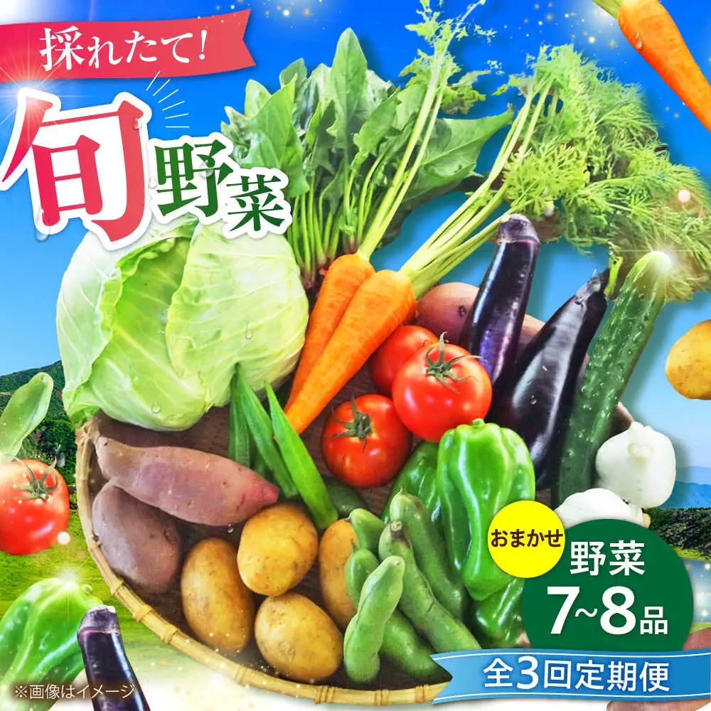 全3回定期便 旬の 野菜 セット 約3kg/ 野菜 7-8品程度 BHAK024