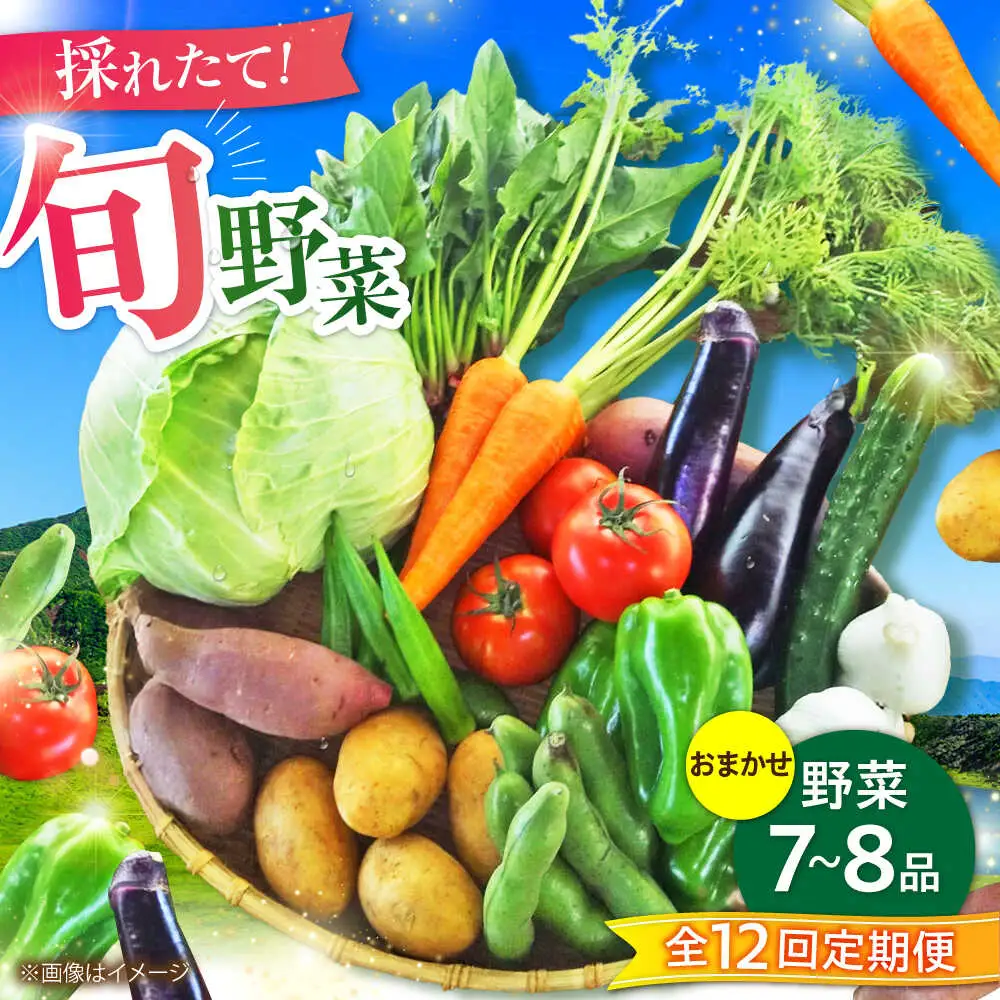 全12回定期便 旬の 野菜 セット 約3kg/ 野菜7 -8品程度 BHAK026