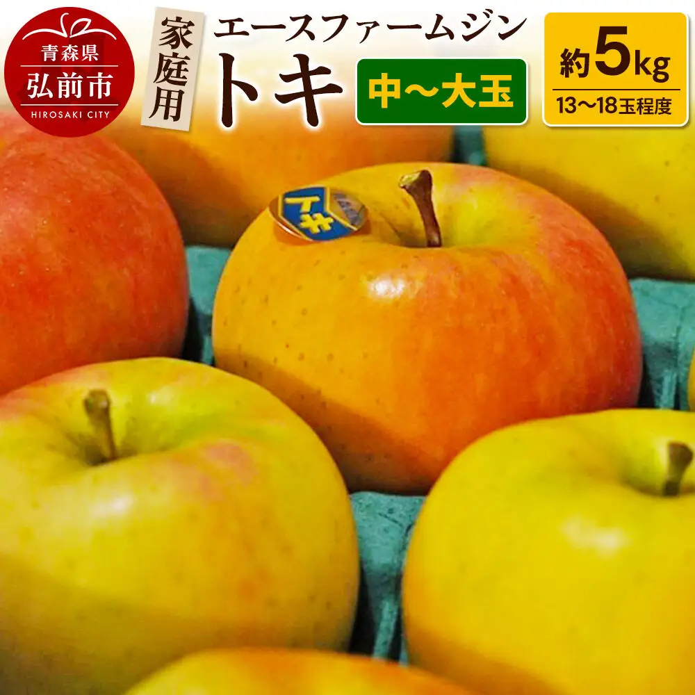 【26年9月下旬～発送】りんごトキ 家庭用 約5kg（中玉～大玉13～18玉程度）【先行受付】 青森 果物 フルーツ 林檎 リンゴ くだもの 予約