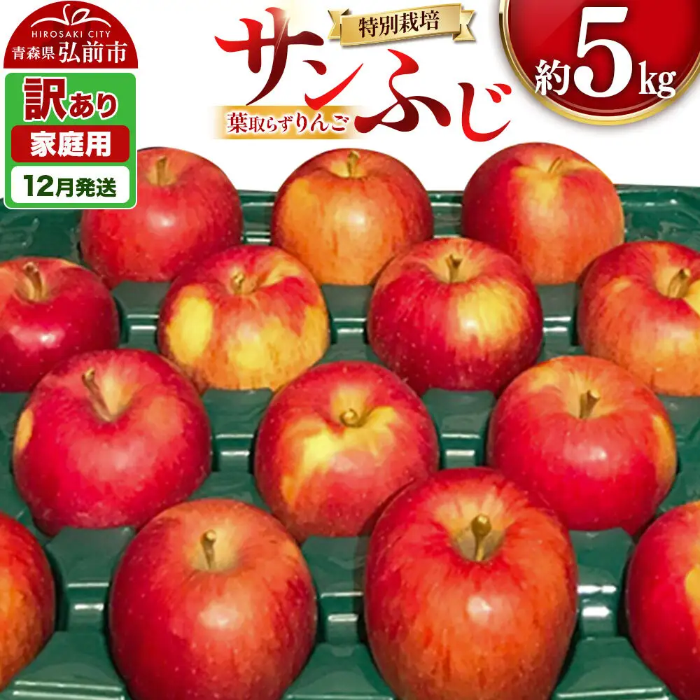 【26年12月発送】りんご 葉取らず サンふじ【訳あり】約5kg（14～20玉程度）青森県特別栽培農産物認証農園 先行受付 家庭用 青森県 弘前市 果物 フルーツ 林檎 リンゴ くだもの 不揃い 規格外