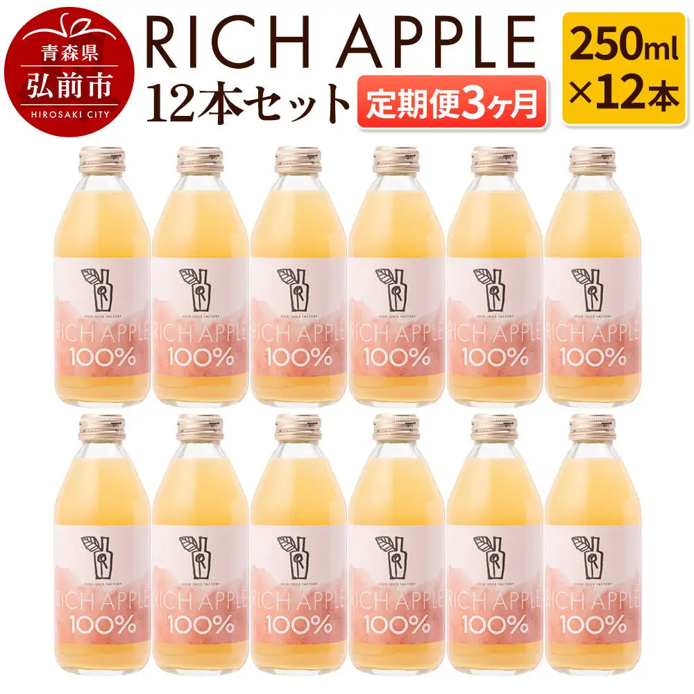 【定期便3ヶ月】RICH APPLE りんごジュース12本セット（250ml×12本×3回）【飲料類 果汁飲料】