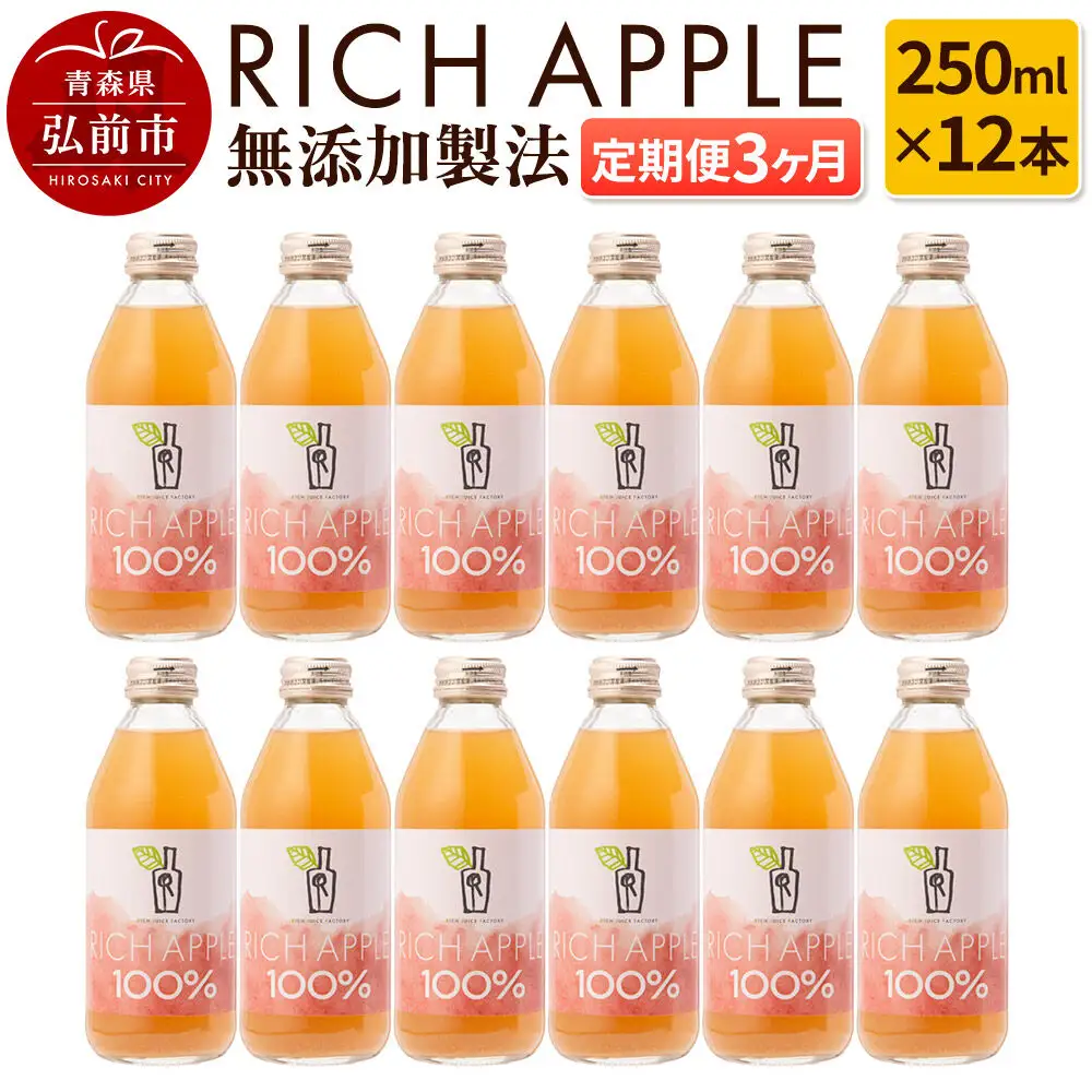 【定期便3ヶ月】RICH APPLE 無添加製法 りんごジュース12本セット（250ml×12本×3回）【飲料類 果汁飲料】