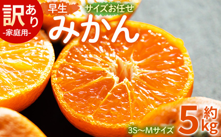 【2026年11月より順次配送】訳あり(家庭用) サイズお任せ 早生みかん 5kg 3S〜Mサイズ みかん be-0119
