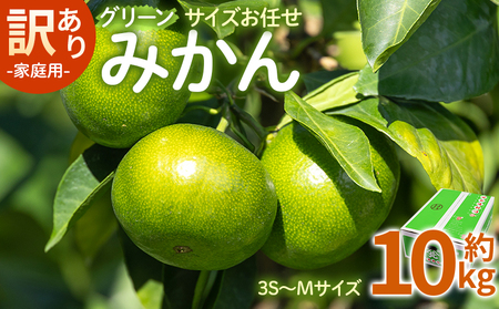 【2026年9月より順次配送】訳あり(家庭用) サイズお任せ グリーンみかん 10㎏ 小玉 みかん be-0120