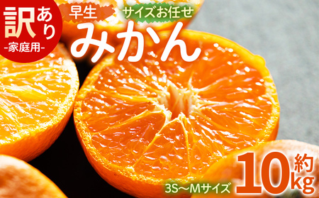 【2026年11月より順次配送】訳あり 小玉 早生みかん 10kg みかん be-0122