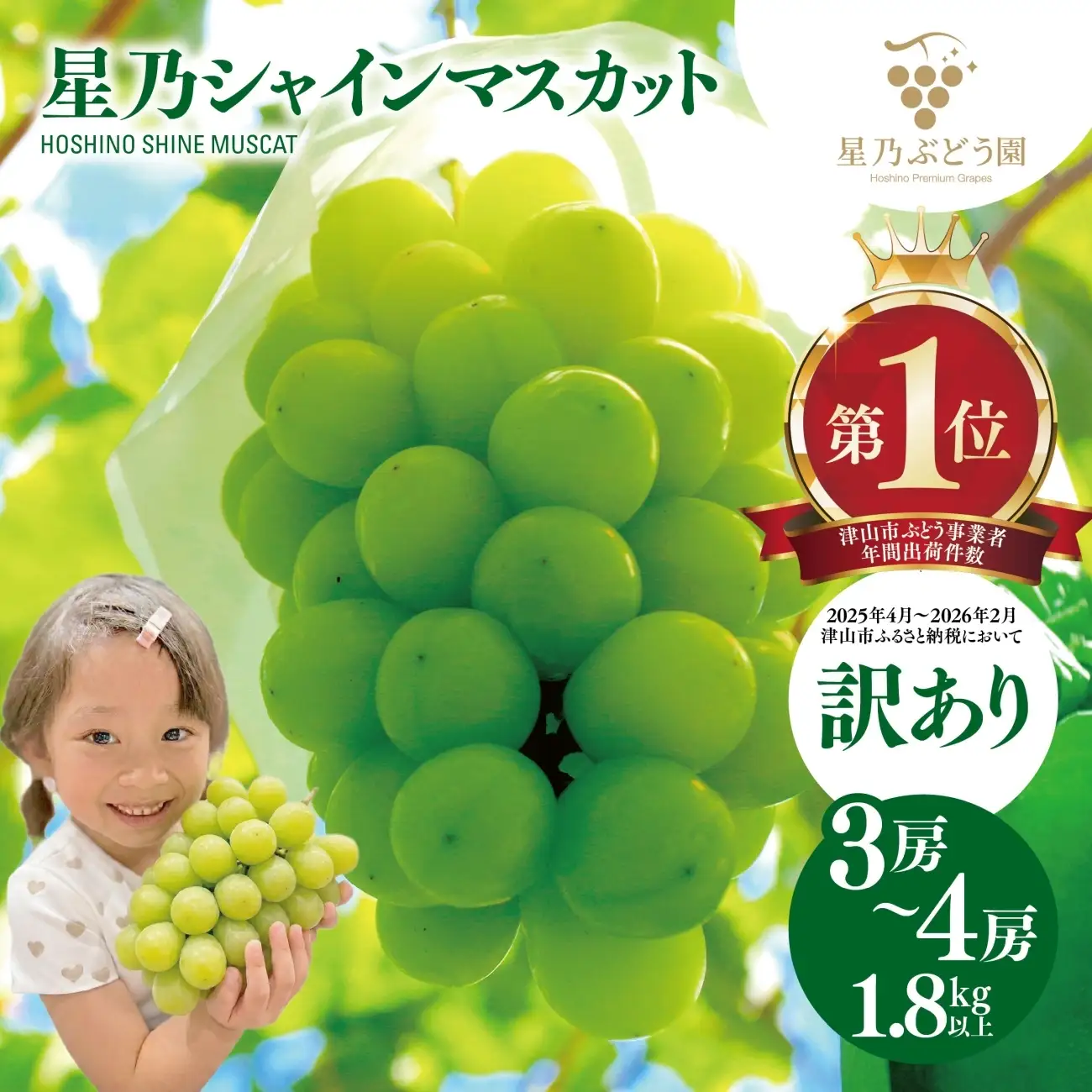 【先行受付】訳あり星乃シャインマスカット(岡山県産) 3～4房(1.8kg以上)【配送不可地域：離島・北海道・沖縄県】【1626442】